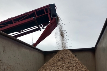 Tambour magnétique MB 204 F 600 - broyage des palettes en bois