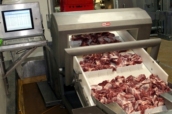 Détecteur de métaux de type tunnel METRON 05 CI – contrôle des produits carnés dans l'industrie alimentaire